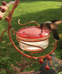 Cranberry Hummingbird Feeder Gardening Supplies - Image 5