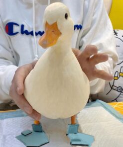Pets Duck Goose Shoes Pet Duck Feet Protective Shoes Pet Products