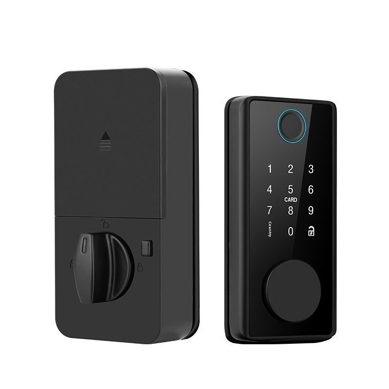 Graffiti Smart Door Lock Wooden Door Fingerprint Lock Auxiliary Closing - Image 6