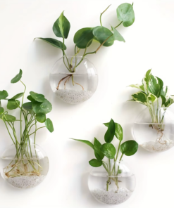 Alternative view of 2/4/6 Pack Wall Hanging Glass Terrarium - Self-Watering Hydroponic Planter for Home Office Decor, Handmade round Crystal Vase