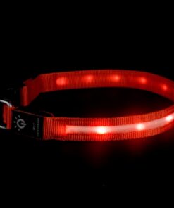 LED Pet Collar Waterproof Lighting Collar Night - Image 5