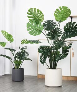 Plant Monstera Deliciosa Potted Indoor Decoration