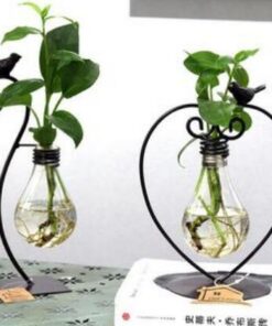 Hydroponic Plant Vessel Indoor Green Plants Glass Planter Pot with Steel Stand