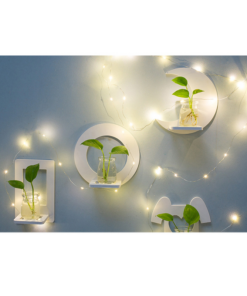 Creative Wall Hanging Wall Hydroponic Vase Hanging Transparent Flower Pot - Image 6