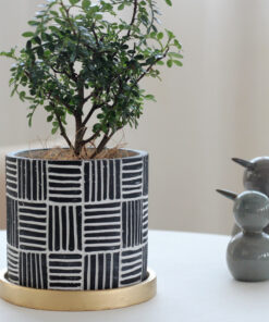 Alternative view of Indoor flowerpot green plant potted simple ornament with tray