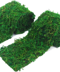 2 Pcs Floral Moss Roll Rug 4" X 48" Dried Moss Mat for Crafts Table Runner Fairy Gardens Wedding Woodland Decor Preserved Green Moss Sheets for Forest Decoration Carpet Grass Wall 10X120Cm