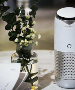 Car air purifier