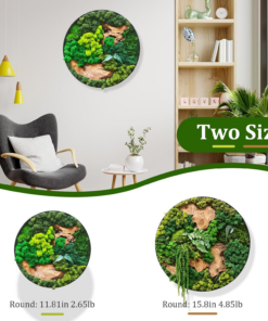 Moss Wall Art Natural Moss and Wood Handcrafted Rustic Charm, Modern Nature Wall Hanging for Living Room & Office, Office, Restaurant, Bar & Cafe No Maintenance (11.81In, Round) - Image 6