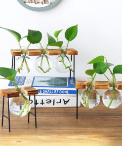Nordic Style Creative Wooden Frame Hydroponic Vase