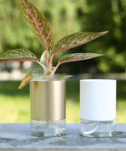 Double Transparent Hydroponic Plastic Flower Pot