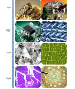 Digital Microscope HD 7 Inch - Image 5