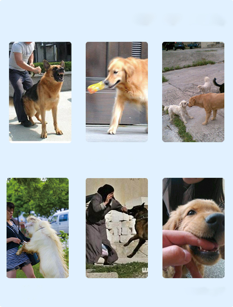 Rechargeable Remote Control Dog Training Device Pet Supplies Rechargeable Bark Stopper - Image 5