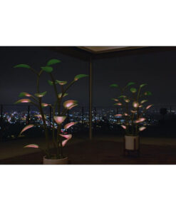 New Magic Led Indoor Plant Lamp - Image 3