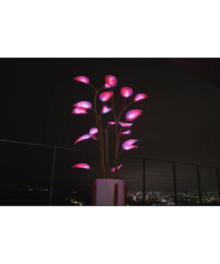 New Magic Led Indoor Plant Lamp - Image 5