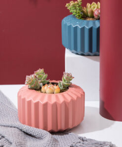 Alternative view of Succulent Flowerpot Plastic Flowerpot Indoor Simple Fleshy Personality Plant Flowerpot