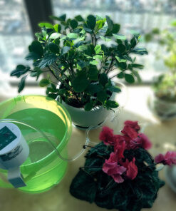 Intelligent Garden Water Pump Timer System Controller Drip Arrow Automatic Watering Device Succulents Plant Drip Irrigation Tool - Image 4