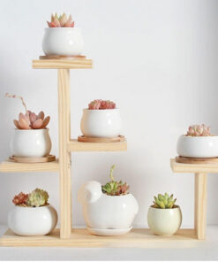 Solid Wood Bay Window Succulent Plant Shelf For Indoor Living Room Desks