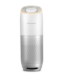 Car air purifier