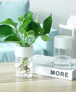 Alternative view of Transparent Small Pot Plant Hydroponic Desktop