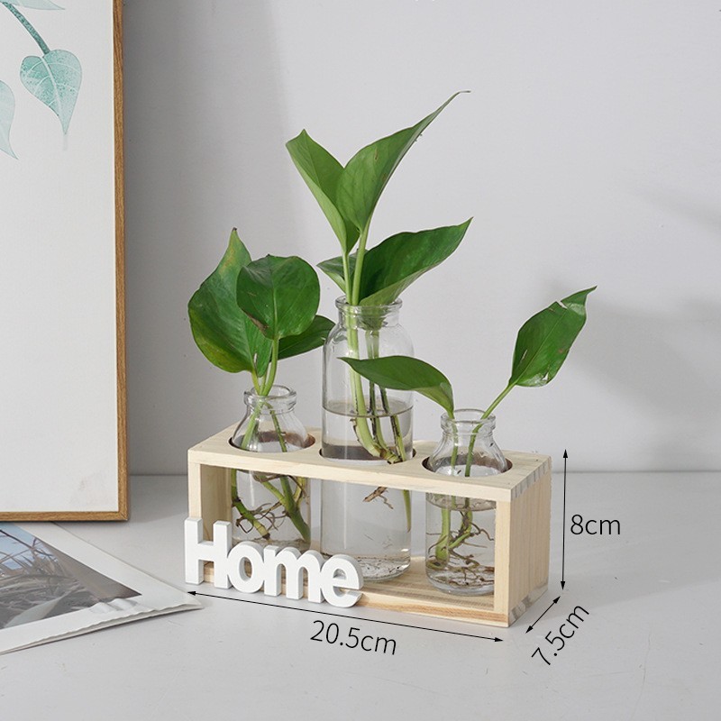 Simple And Fresh Glass Vase Hydroponic - Image 8