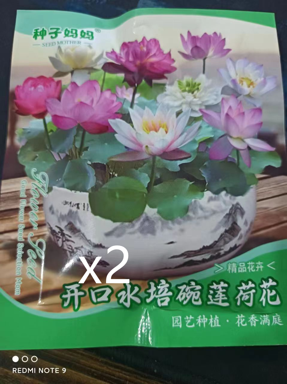 Open Bowl Lotus Seed Hydroponic Pot - Image 7