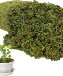 35 OZ Large Capacity Artificial Moss for Potted Plants and Crafts