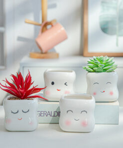 Plant Ceramic Flowerpot Indoor Succulent Cute Creative Personality