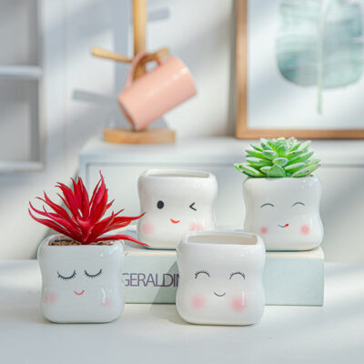 Plant Ceramic Flowerpot Indoor Succulent Cute Creative Personality