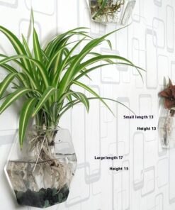 Creative Hydroponic Hanging Transparent Glass Vase - Image 10