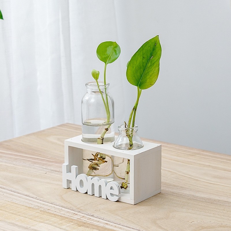 Simple And Fresh Glass Vase Hydroponic - Image 3