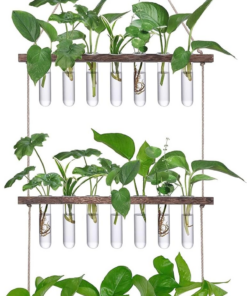Wall Hanging Propagation Station with Wooden Stand
