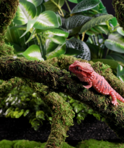 Alternative view of Moss Vine for Reptiles, Bendable Climbing Vines Reptile Tank Accessories, Natural Moss Rope for Leopard Gecko, Lizard, Snake, Chameleon, Frog Terrarium Decor (Jungle Green, 9.8 FT)