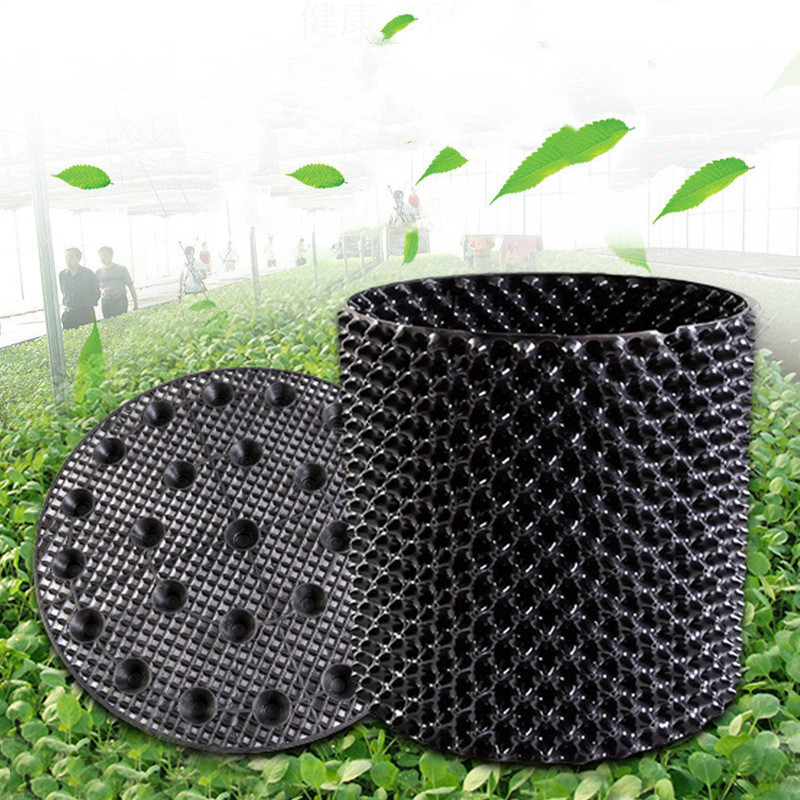 Root controller for tree planting