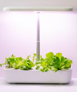 Indoor Planter Succulent Pot Plant Light - Image 6