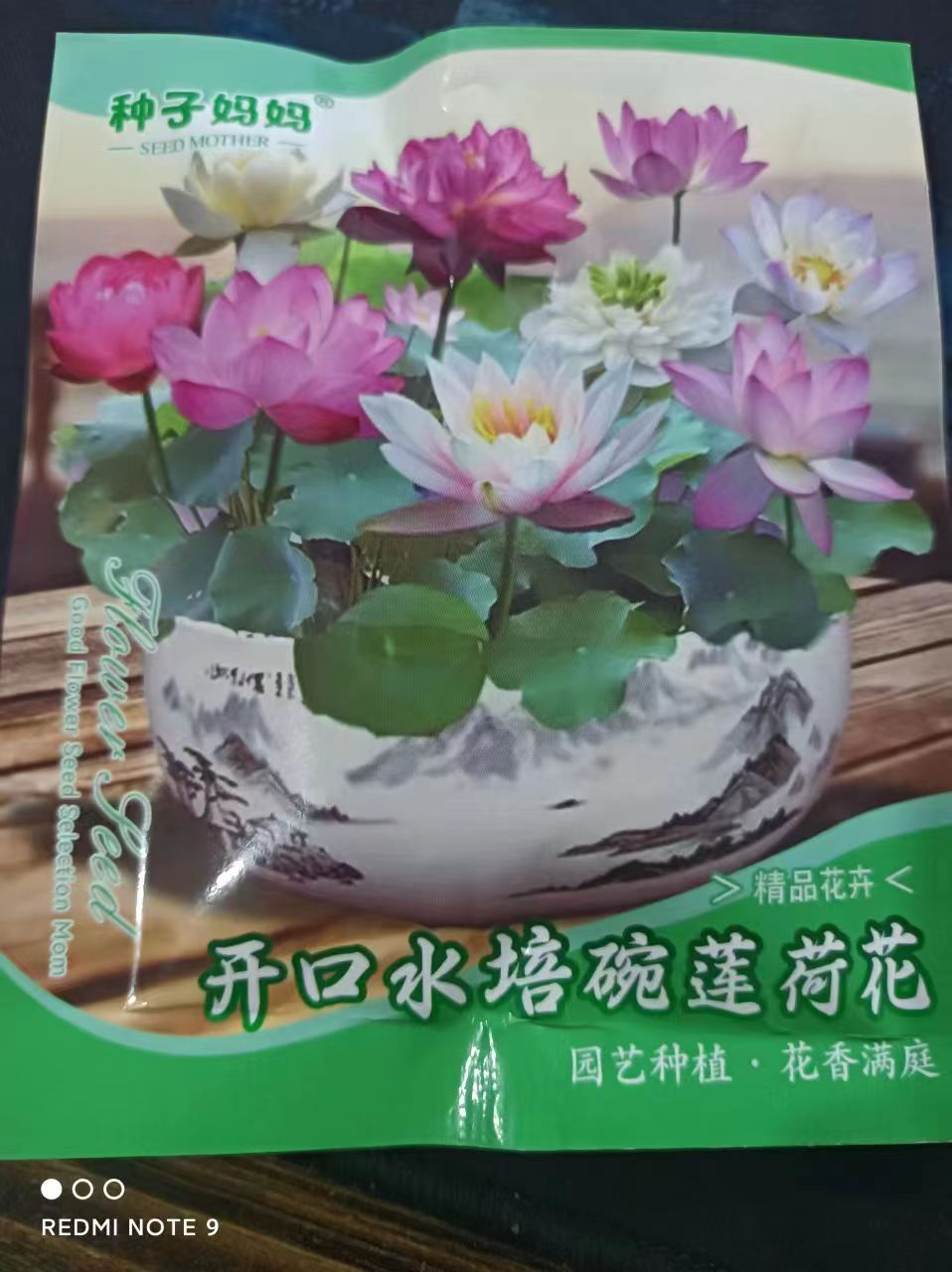 Open Bowl Lotus Seed Hydroponic Pot - Image 6