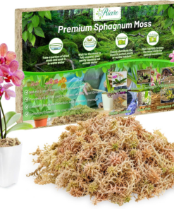 4OZ Premium Sphagnum Moss for Plants- Natural Long Fiber Plant Moss