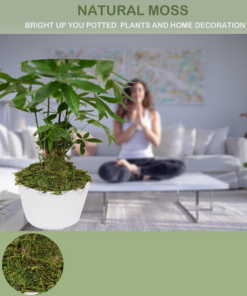 Alternative view of 35 OZ Moss for Potted Plants Fake Moss for Fake Plants,Artificial Moss for Crafts,Faux Moss for Fake Plants Decroative Moss Artificial Green Moss