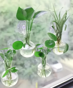 Alternative view of Creative Semi Circular Class Wall Mounted Vase Flower Plate Plant Hydroponic Aquarium Wall Fish Tank Aquarium Home Decoration