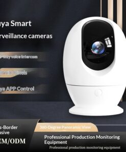 Graffiti 360-degree Panoramic Surveillance Camera