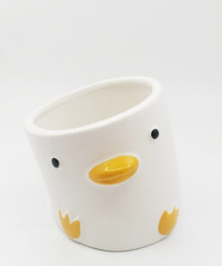 Indoor Balcony Green Plant Yellow Duck Pig Small Flower Pot