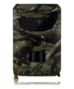 Forestry security camera - Image 6