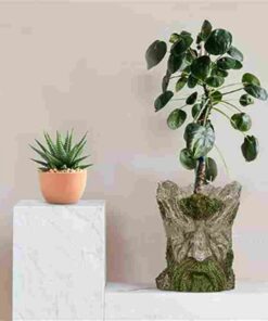 Alternative view of Resin Garden Plant Flowerpot Decoration Indoor