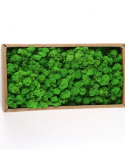 Eternal Moss 500g Artificial Flower Green Plant Wall Decoration - Image 4