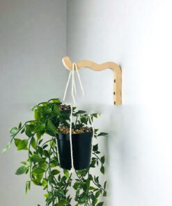 Indoor Plant Hanger Hanging Swing Wall Hook