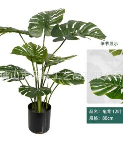 Plant Monstera Deliciosa Potted Indoor Decoration - Image 7