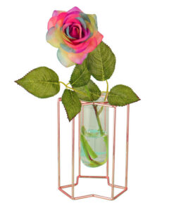 Light Luxury Ornaments Hydroponic Glass Vase
