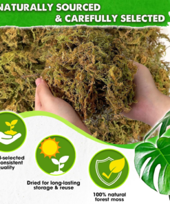 Alternative view of 5 LBS Real Dried Forest Moss for Potted Plants, Plant Propagation