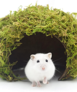 Hamster Hideout - Large, Natural Moss, Handcrafted for Syrian Hamsters, Rats & Guinea Pigs, Safe & Eco-Friendly
