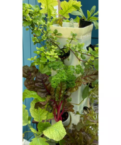 Vertical Hydroponic Garden Tower System Indoors and Out - Image 3