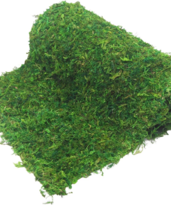 Moss Table Runner Dried Moss for Crafts Green Moss Roll for Fairy Gardens Wedding Woodland Decor 12" X 60" Preserved Moss Mat for Table Decoration Moss Carpet for Moss Grass Wall 30X153Cm